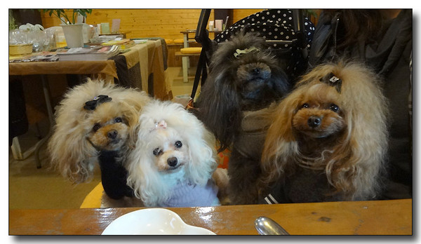 20130227235257.JPG
