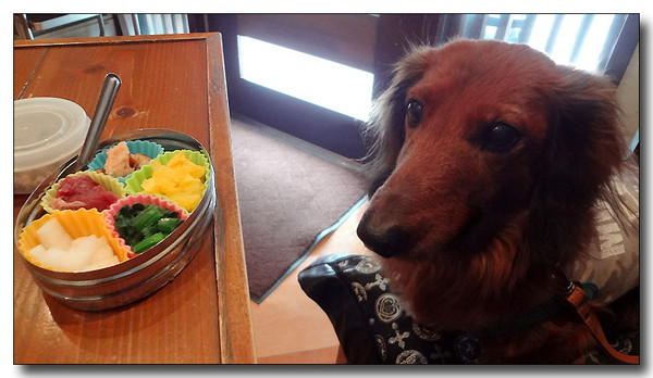 20130228023524.JPG