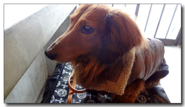 20130228023633.JPG