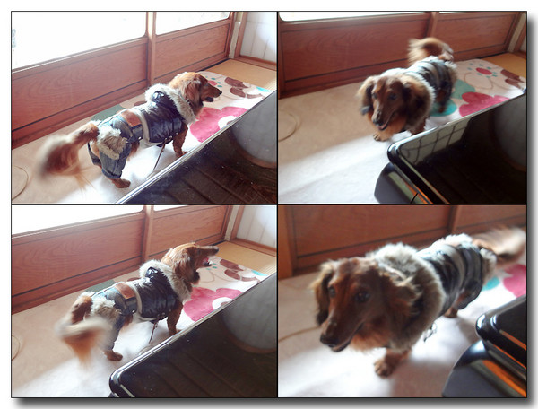 20130301135404.jpg