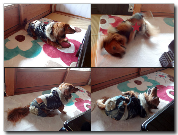 20130301135405.jpg
