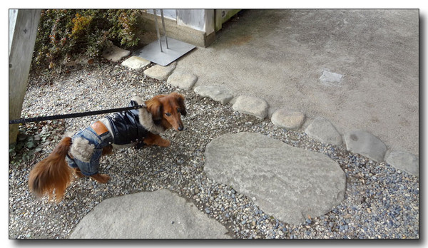 20130301135407.JPG