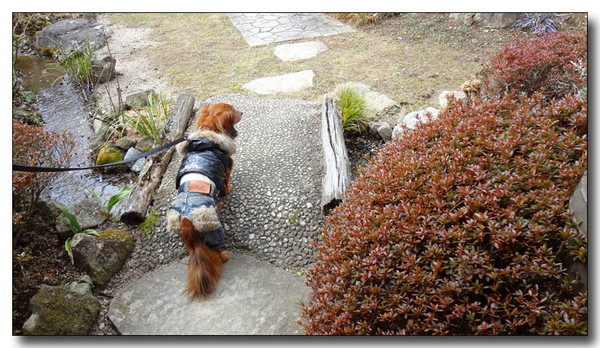 20130301135410.JPG