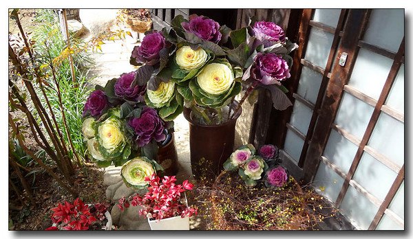 20130301135412.JPG