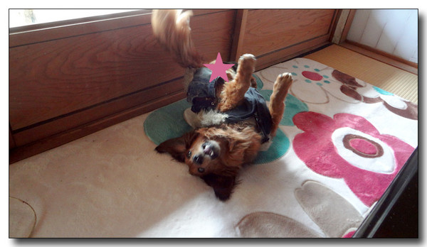 20130301135413.JPG