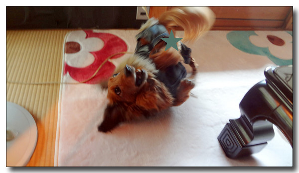 20130301135414.JPG