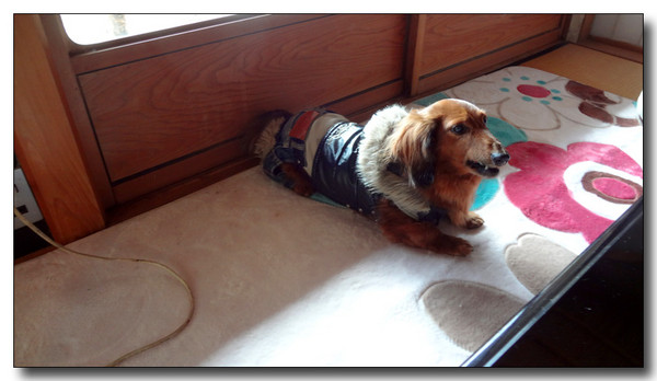 20130301135415.JPG