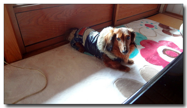 20130301135416.JPG