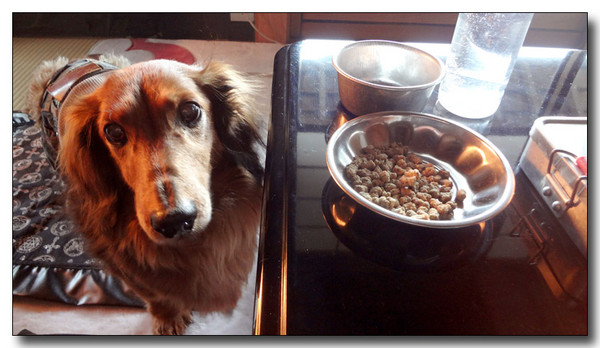 20130302025615.JPG