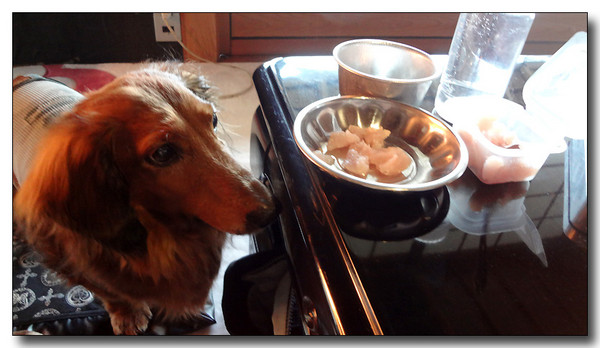 20130302025617.JPG