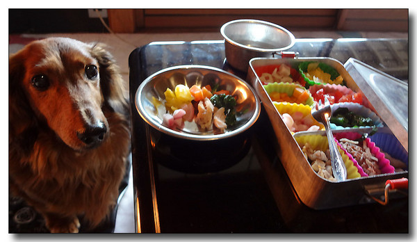 20130302025621.JPG