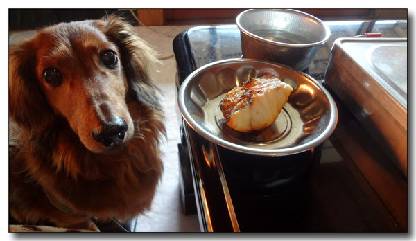 20130302025629.JPG