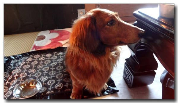 20130302101849.JPG