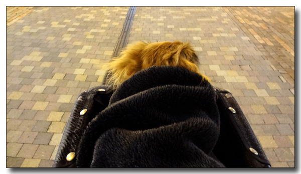 20130303114932.JPG