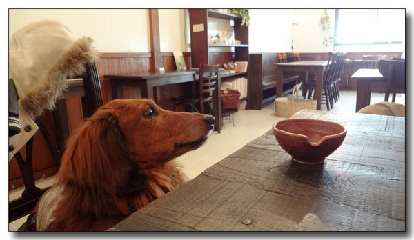 20130303115052.JPG