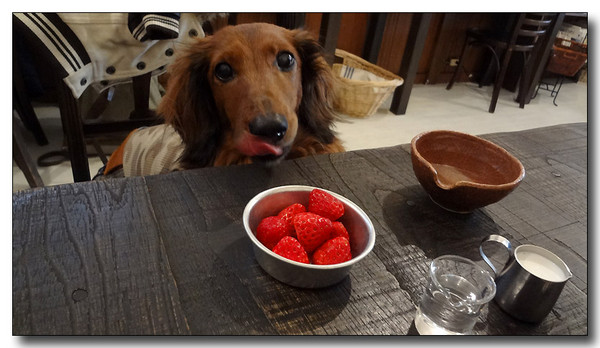 20130303115055.JPG