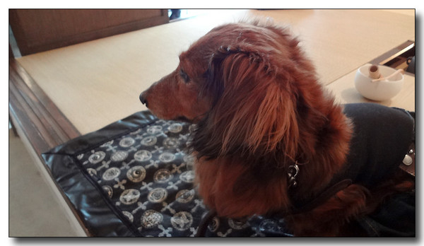 20130303225405.JPG