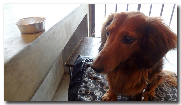 20130303225407.JPG