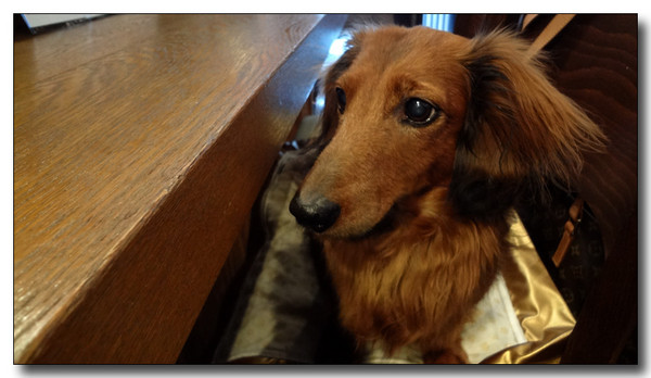 20130304123205.JPG