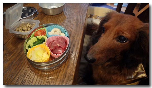 20130304123206.JPG