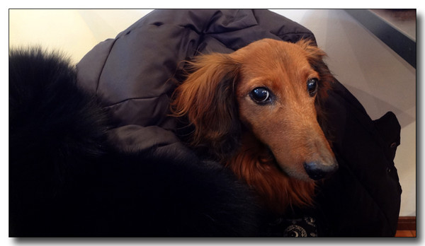 20130304231659.JPG