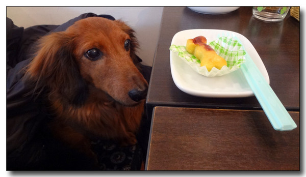 20130304231702.JPG