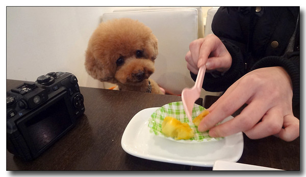 20130304231703.JPG