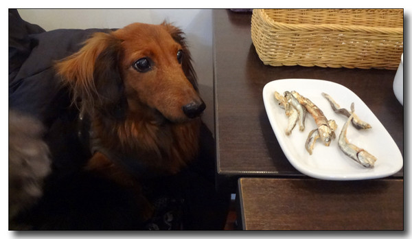 20130304231704.JPG