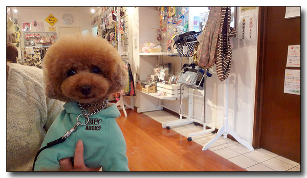 20130304231706.JPG