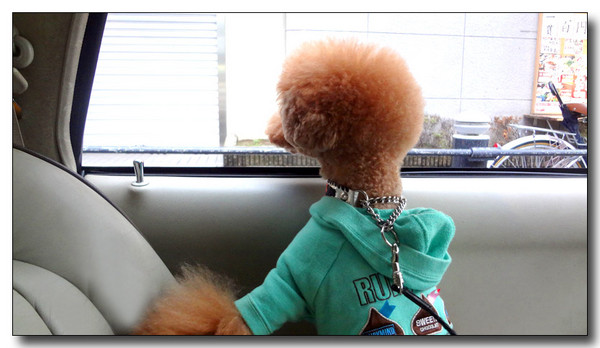 20130304231707.JPG