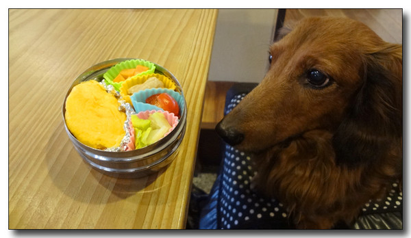 20130305095816.JPG