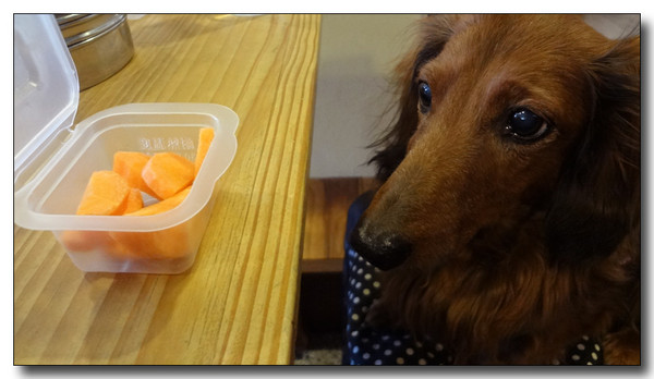 20130305095817.JPG