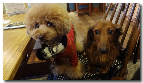 20130305095819.JPG