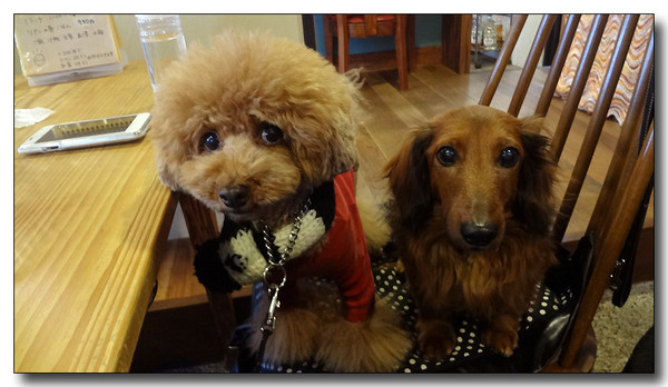 20130305095820.JPG