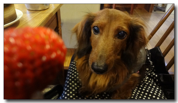 20130305095821.JPG