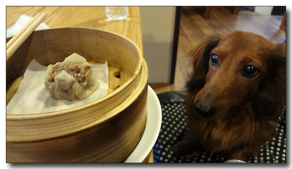 20130305095823.JPG