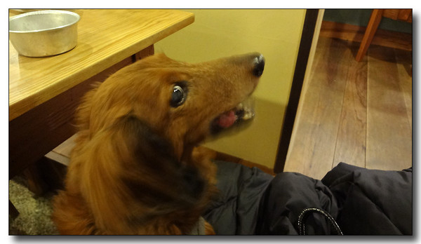 20130305095836.JPG