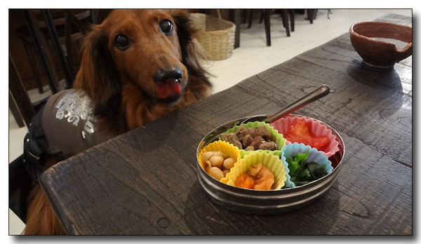 20130305225653.JPG