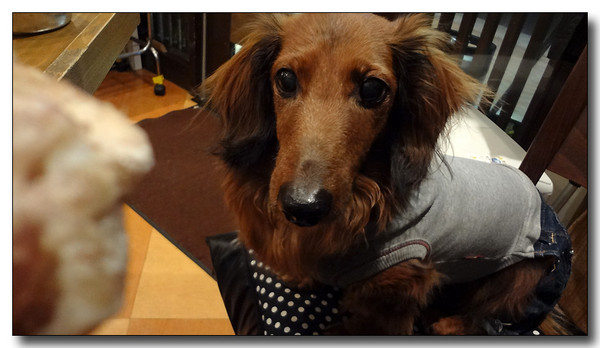 20130305234856.JPG