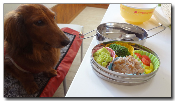 20130307111430.JPG