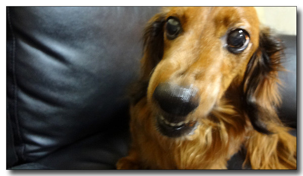 20130307111653.JPG
