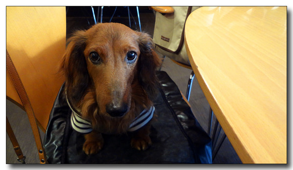 20130307111751.JPG