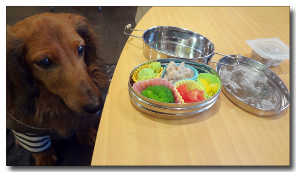 20130307111753.JPG