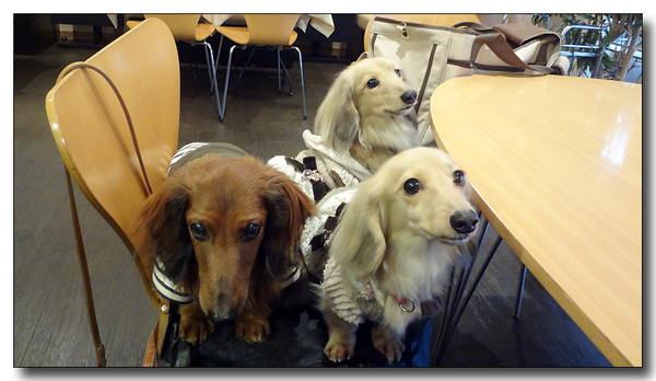 20130307111757.JPG