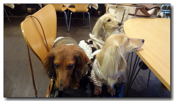 20130307111759.JPG