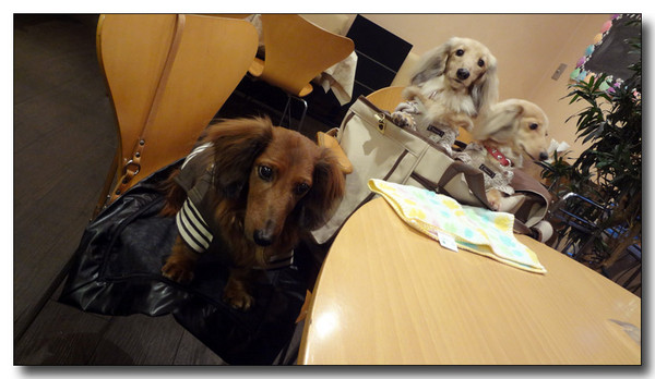 20130307111801.JPG