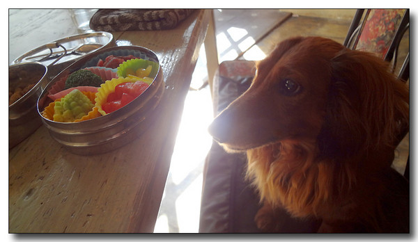 20130308124357.JPG