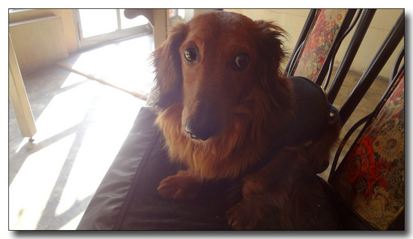 20130308124402.JPG