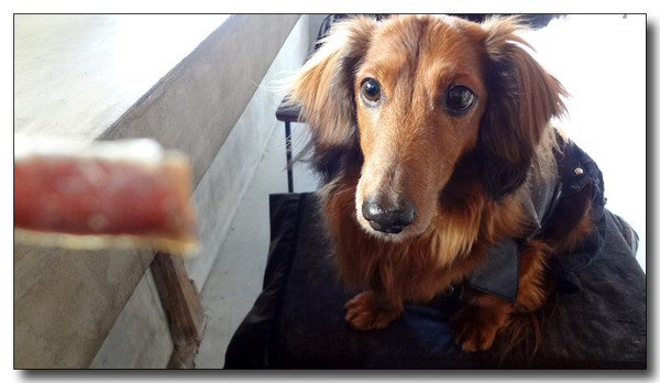 20130309013157.JPG