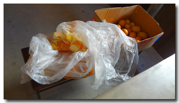 20130309013159.JPG